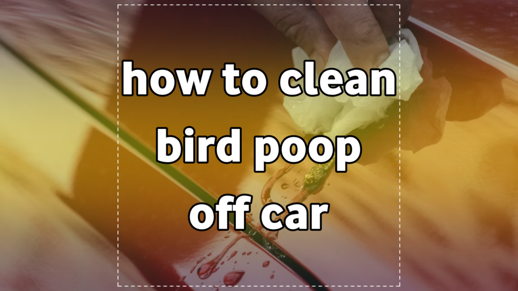 how to clean bird poop off car