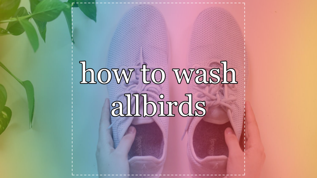 how to wash allbirds